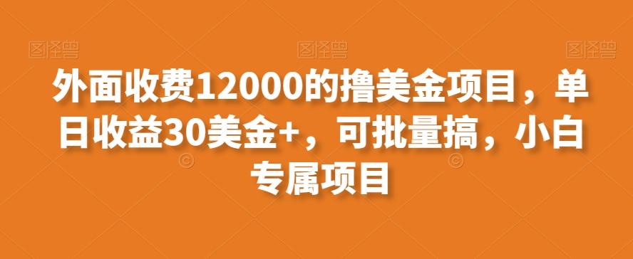 外面收费12000的撸美金项目，单日收益30美金+，可批量搞，小白专属项目-九洲网