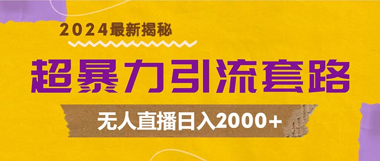 超暴力引流套路，无人直播日入2000+-九洲网