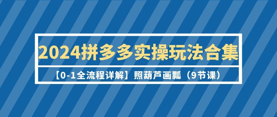 (9559期)2024拼多多实操玩法合集【0-1全流程详解】照葫芦画瓢(9节课)-九洲网
