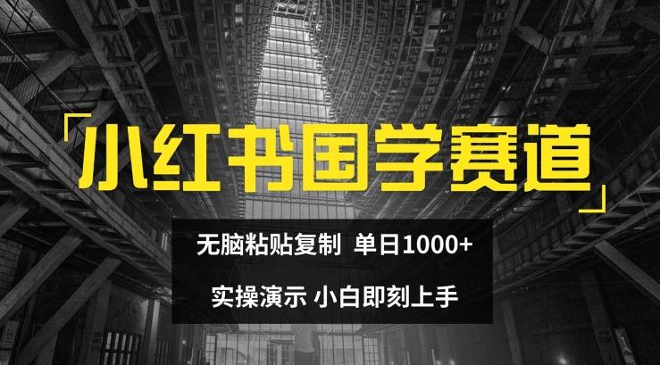 小红书国学赛道，无脑粘贴复制，单日1K，实操演示，小白即刻上手【揭秘】-九洲网