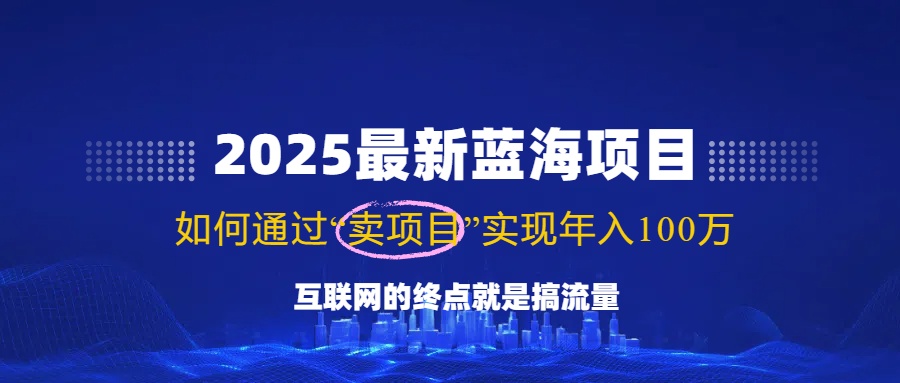 2025最新蓝海项目，零门槛轻松复制，月入10万+，新手也能操作！-九洲网