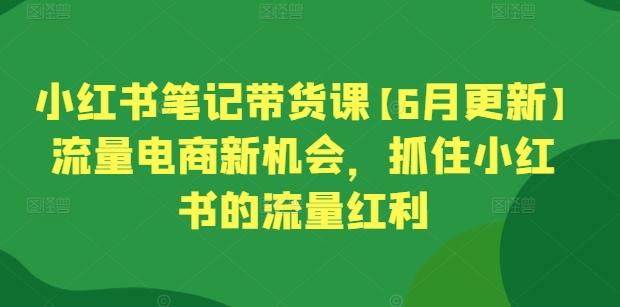 小红书笔记带货课【6月更新】流量电商新机会，抓住小红书的流量红利-九洲网