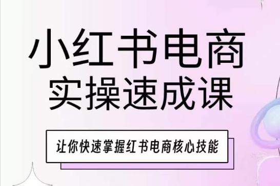 小红书电商实操速成课，让你快速掌握红书电商核心技能-九洲网