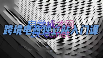 团长·跨境电商独立站入门课(2小时精华)-九洲网