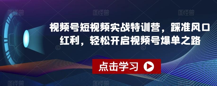 视频号短视频实战特训营，踩准风口红利，轻松开启视频号爆单之路-九洲网