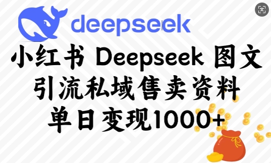 小红书Deepseek图文引流私域售卖资料，单日变现多张-九洲网