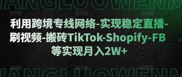 利用跨境专线网络-实现稳定直播-刷视频-搬砖TikTok-Shopify-FB等实现月入2W+【揭秘】-九洲网