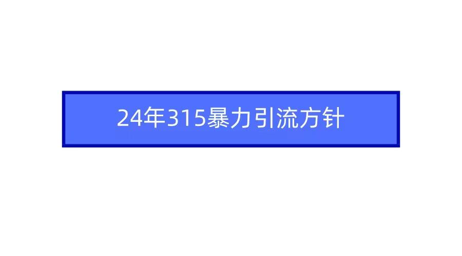 (9398期)2024年315暴力引流方针-九洲网