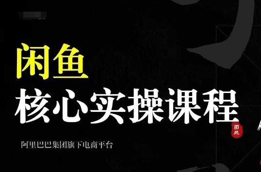 2024闲鱼核心实操课程，从养号、选品、发布、销售，教你做一个出单的闲鱼号-九洲网