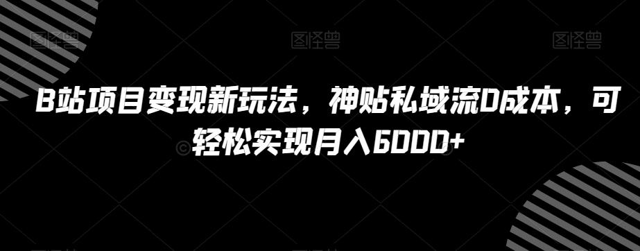 B站项目变现新玩法，神贴私域流0成本，可轻松实现月入6000+【揭秘】-九洲网
