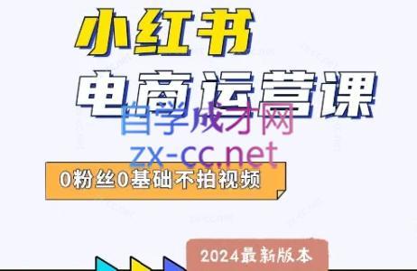 达哥·小红书电商运营(2024版)-九洲网
