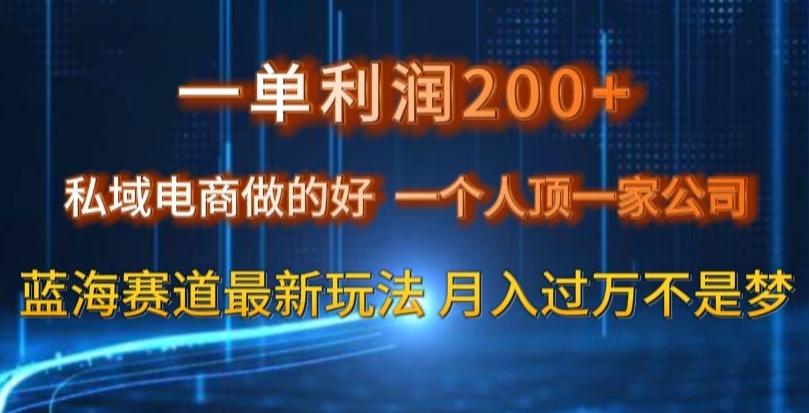 一单利润200私域电商做的好，一个人顶一家公司蓝海赛道最新玩法【揭秘】-九洲网