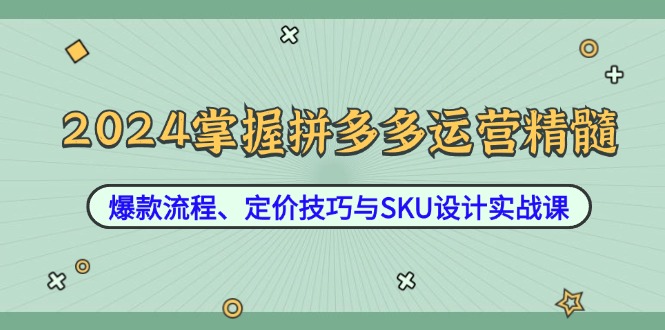 2024掌握拼多多运营精髓：爆款流程、定价技巧与SKU设计实战课-九洲网