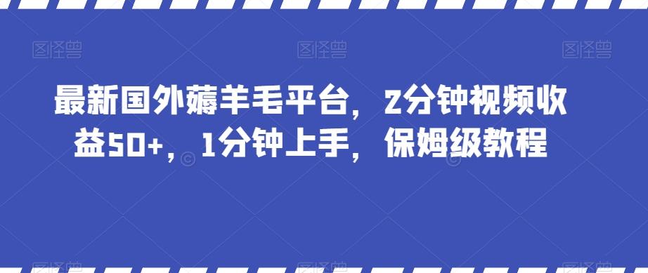 最新国外薅羊毛平台，2分钟视频收益50+，1分钟上手，保姆级教程【揭秘】-九洲网
