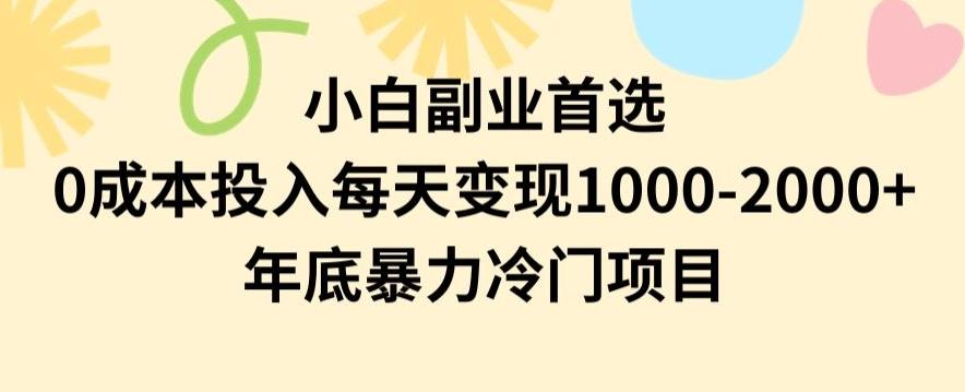 小白副业首选，0成本投入，每天变现1000-2000年底暴力冷门项目【揭秘】-九洲网