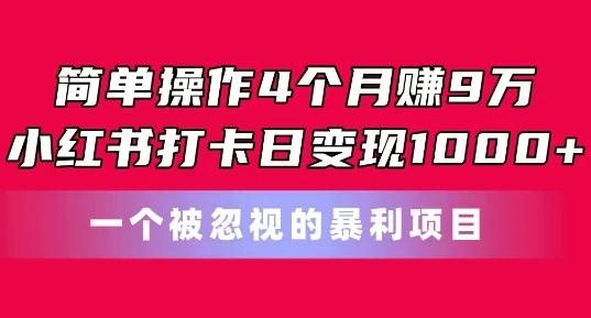 简单操作4个月赚9w，小红书打卡日变现1k，一个被忽视的暴力项目【揭秘】-九洲网