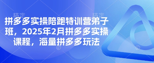 拼多多实操陪跑特训营弟子班，2025年2月拼多多实操课程，海量拼多多玩法-九洲网