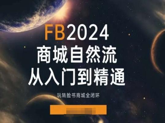 2024Faceboo商城自然流(从入门到精通)，玩转脸书商城全闭环-九洲网