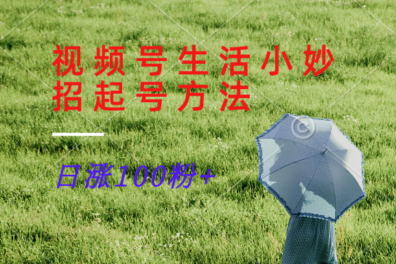 视频号生活小妙招分享赛道， 起号涨粉新方法，日涨100粉-九洲网