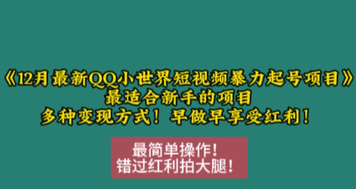 12月最新QQ小世界短视频暴力起号项目，最适合新手的项目，多种变现方式-九洲网