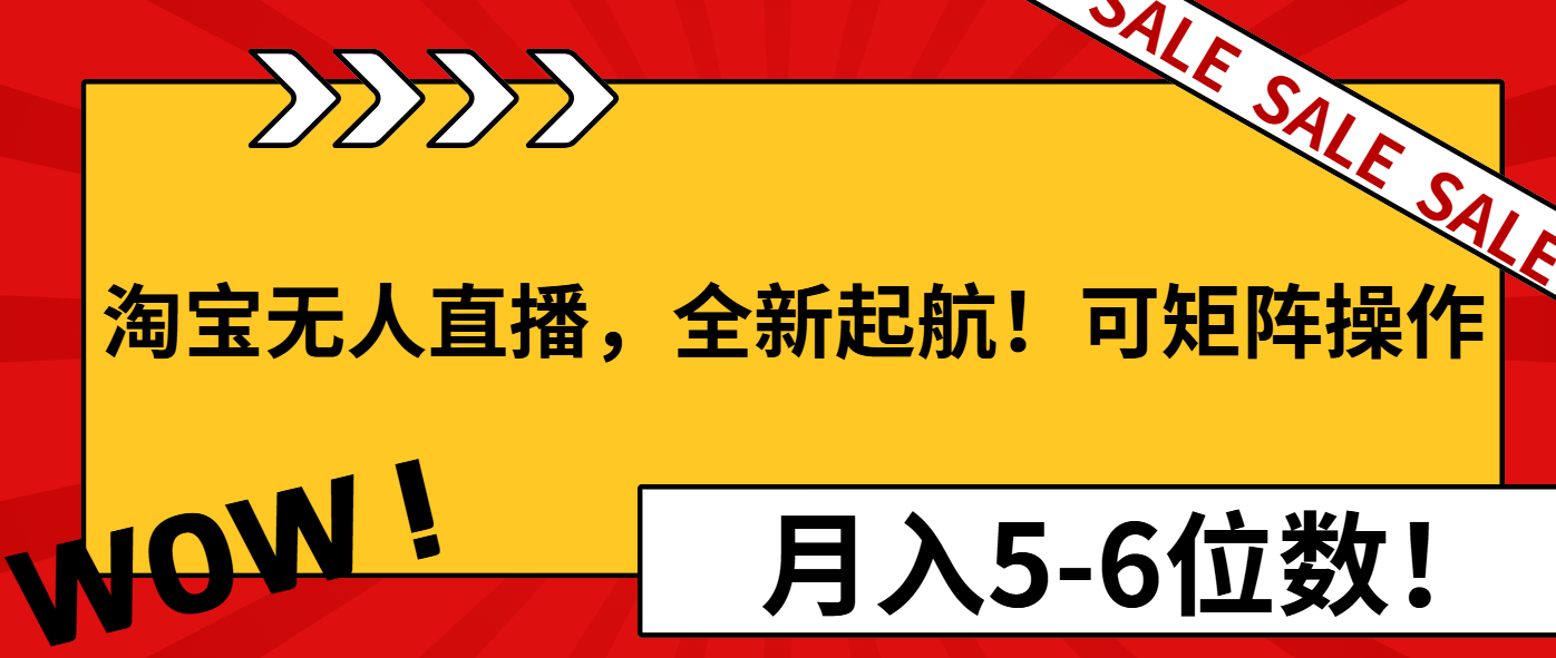 淘宝无人直播，全新起航！可矩阵操作，月入5-6位数！-九洲网