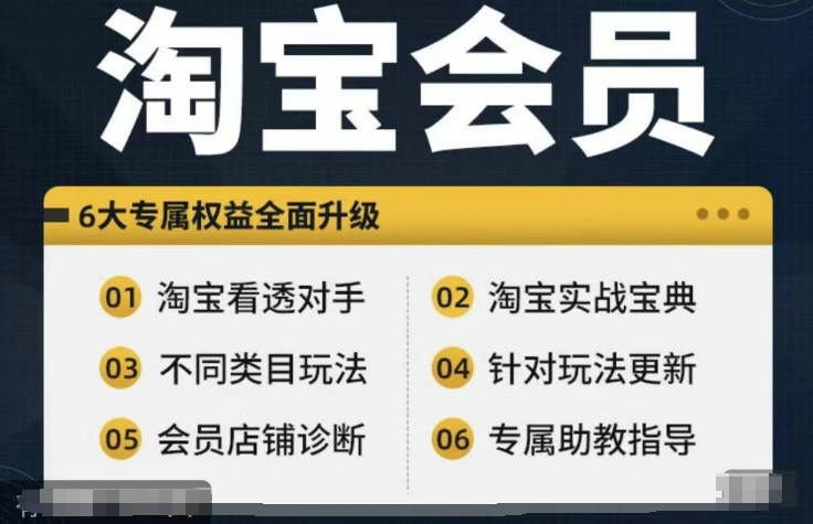 淘宝会员【淘宝所有课程，全面分析对手】，初级到高手全系实战宝典-九洲网