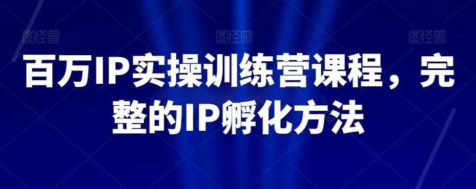 百万IP实操训练营课程，完整的IP孵化方法-九洲网