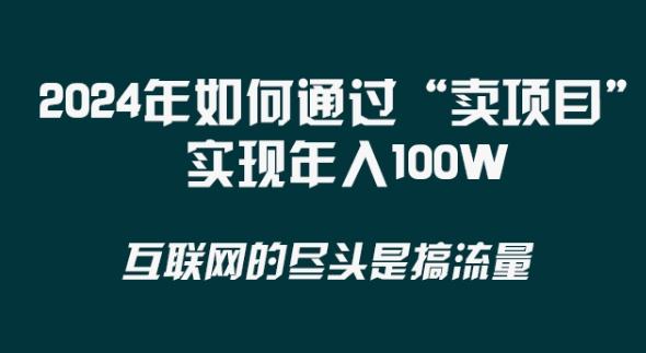 2024年 做项目不如‘卖项目’更快更直接！年入100万-九洲网