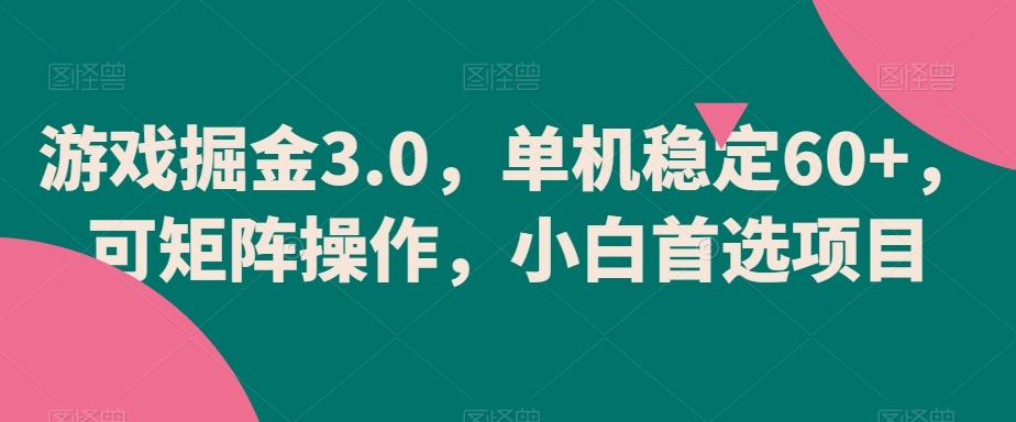 游戏掘金3.0，单机稳定60+，可矩阵操作，小白首选项目【揭秘】-九洲网