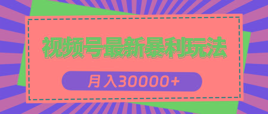 视频号最新暴利玩法，轻松月入30000+-九洲网