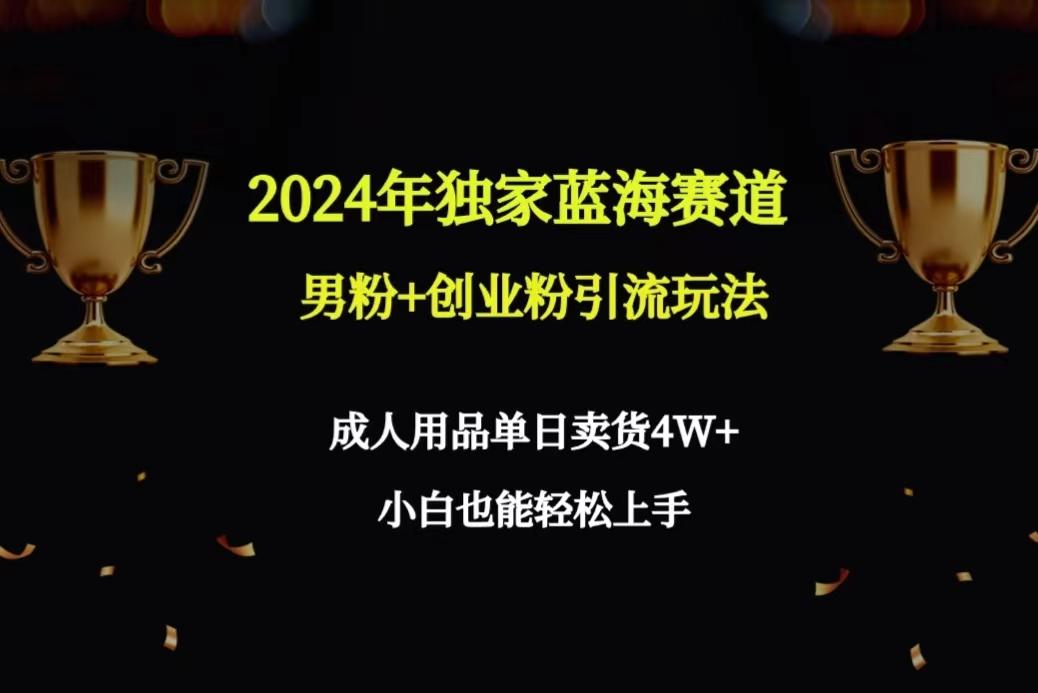 2024年独家蓝海赛道男粉+创业粉引流玩法，成人用品单日卖货4W+保姆教程-九洲网