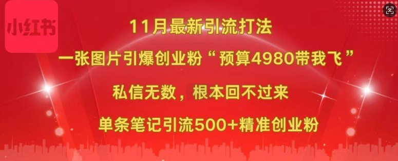 小红书11月最新图片打粉，一张图片引爆创业粉，“预算4980带我飞”，单条引流500+精准创业粉-九洲网