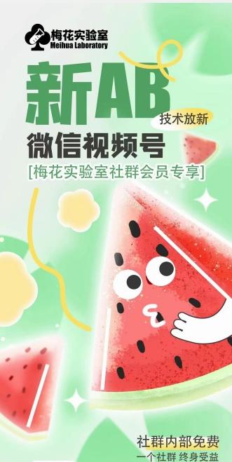 梅花实验室2024年AB技术视频号AB合成破解版-九洲网