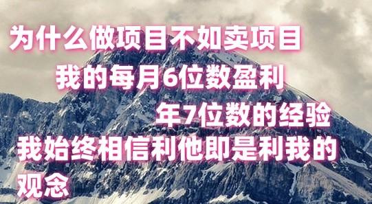 做项目不如卖项目，每月6位数盈利，年7位数经验-九洲网