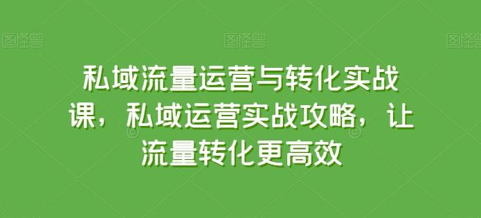 私域流量运营与转化实战课，私域运营实战攻略，让流量转化更高效-九洲网