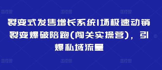 裂变式发售增长系统1场极速动销裂变爆破陪跑(闯关实操营)，引爆私域流量-九洲网