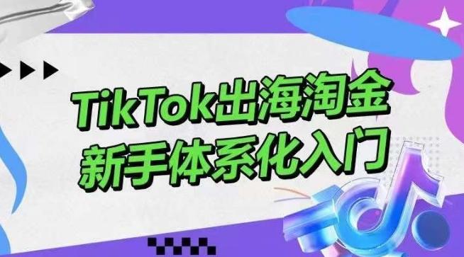 TikTok出海淘金，新手体系化入门，零基础快速入门，掌握短视频、直播带货等引流到变现的知识-九洲网