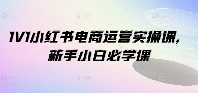 1V1小红书电商运营实操课，新手小白必学课-九洲网