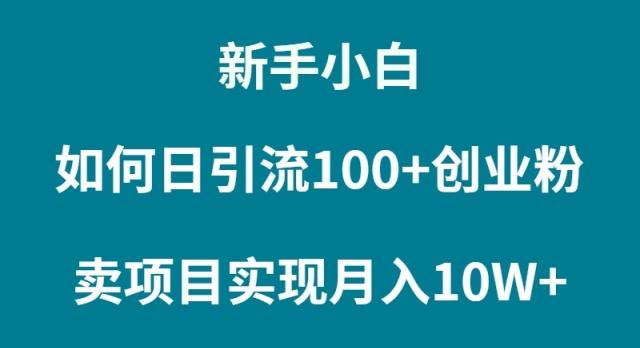 (9556期)新手小白如何通过卖项目实现月入10W+-九洲网