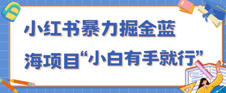 小红书暴力掘金蓝海项目，轻松日入1000+、小白有手就行（附新引流方法，不违规）-九洲网