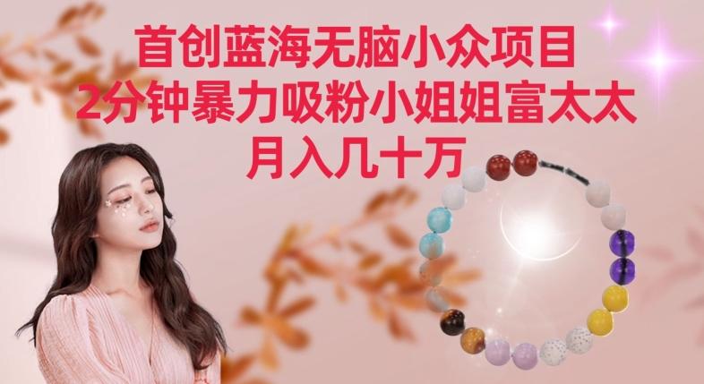 首创蓝海无脑小众项目，2分钟暴力吸粉小姐姐富太太，月入几十万【揭秘】-九洲网