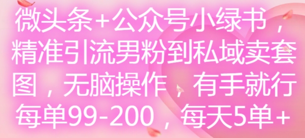 微头条+公众号小绿书，精准引流男粉到私域卖套图，无脑操作，有手就行，每单99-200，每天5单-九洲网