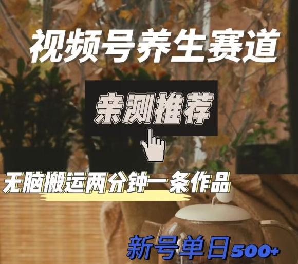 视频号养生赛道暴力掘金，无脑搬运，两分钟一条作品-新日单入500+-九洲网