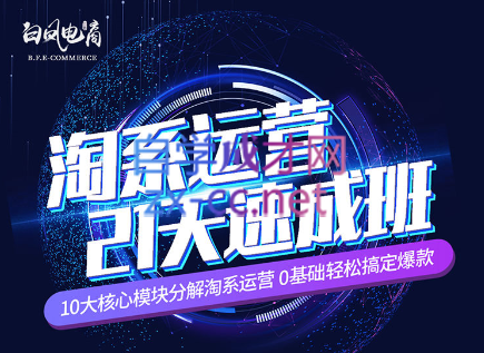 淘系运营21天速成班(更新24年6月)-九洲网