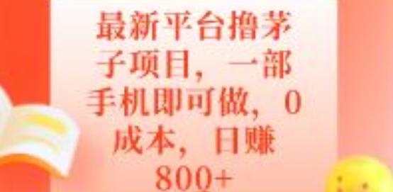 最新平台撸茅子项目，一部手机即可做，0成本，日赚800+-九洲网