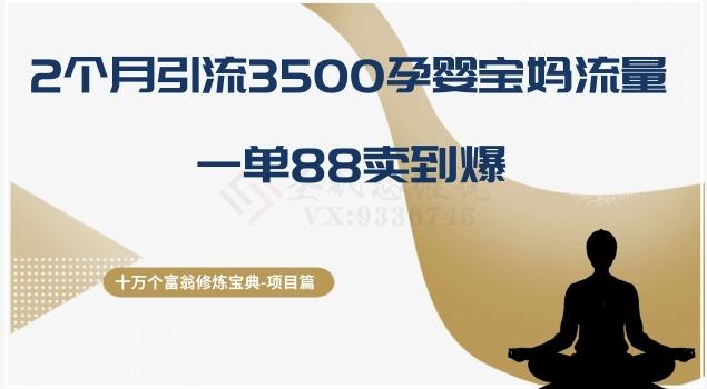 十万个富翁修炼宝典之13.2个月引流3500孕婴宝妈流量，一单88卖到爆-九洲网