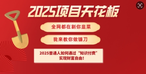 2025项目天花板普通人如何通过知识付费，实现财F自由【揭秘】-九洲网