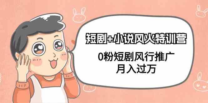 小说+短剧风火特训营，0粉短剧小说风行推广，实现月入过万-九洲网