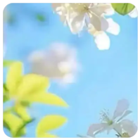 加载动画 环形旋转